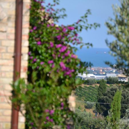 Agriturismo Il Sapore Della Luna Monteprandone Exteriér fotografie