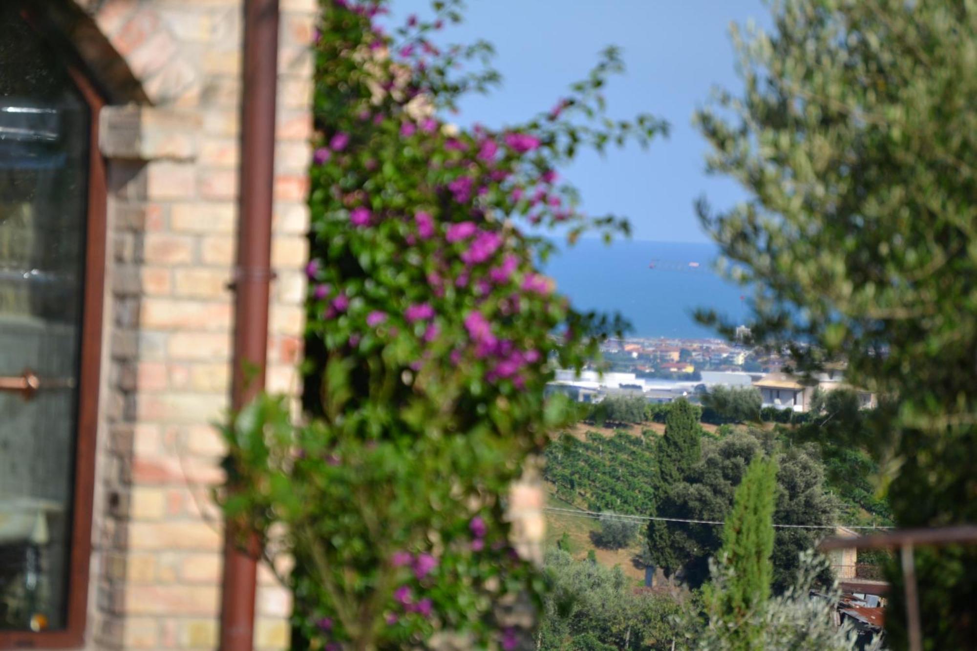 Agriturismo Il Sapore Della Luna Monteprandone Exteriér fotografie