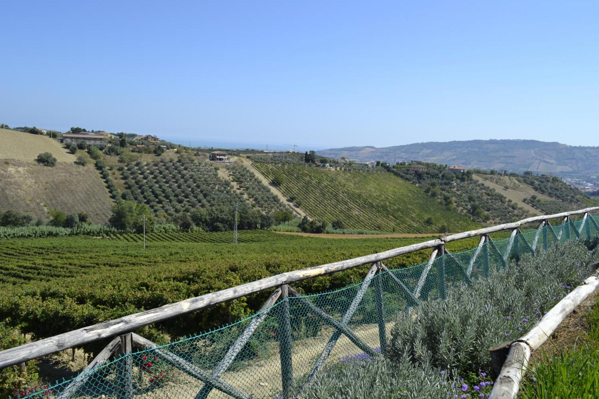 Agriturismo Il Sapore Della Luna Monteprandone Exteriér fotografie