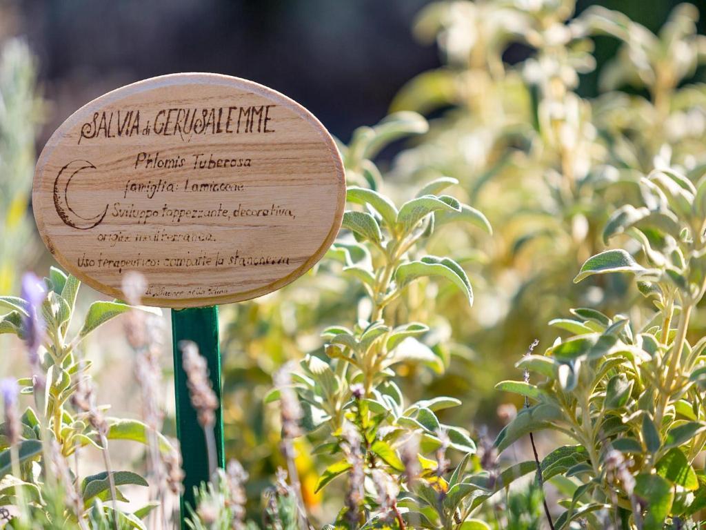 Agriturismo Il Sapore Della Luna Monteprandone Exteriér fotografie